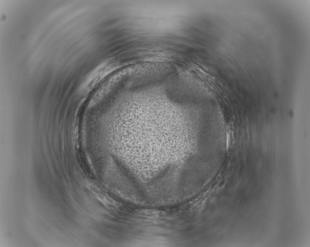 X0000088890339200706291445