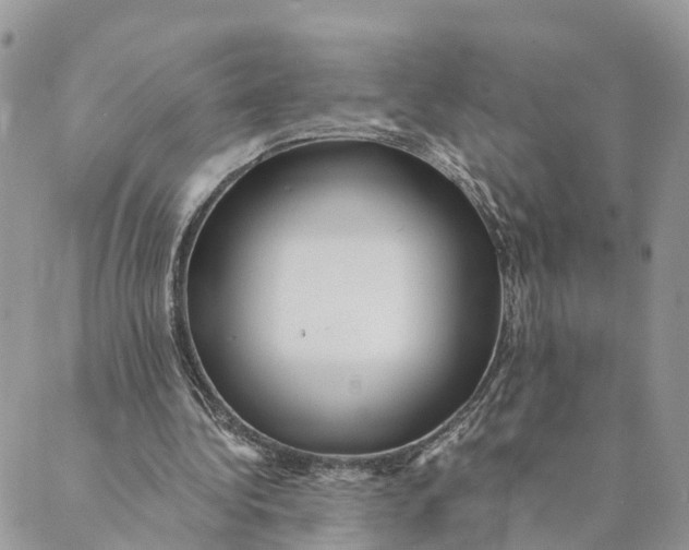 X0000088890340200706291445