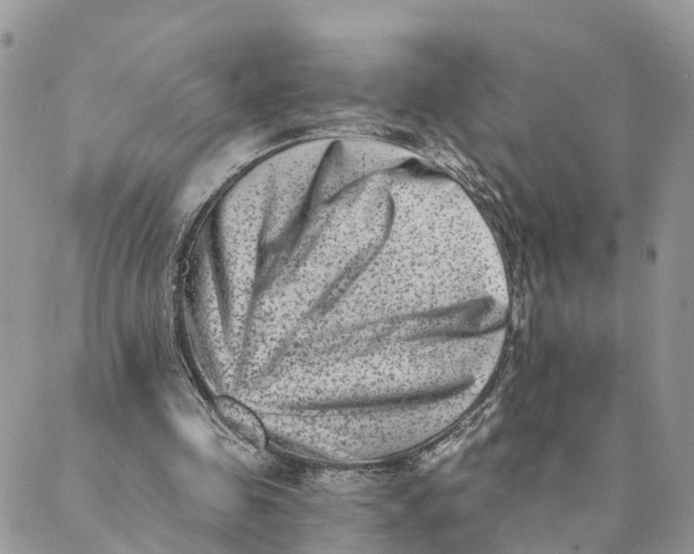 X0000088890341200706291445