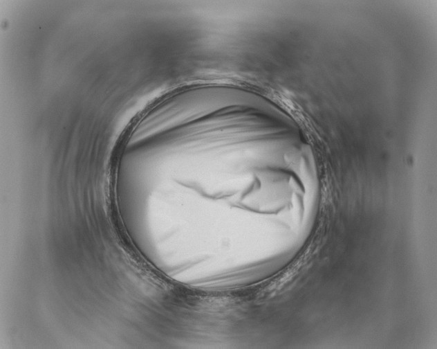 X0000088890342200706291445