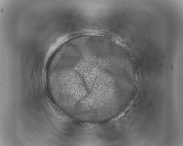 X0000088890343200706291445