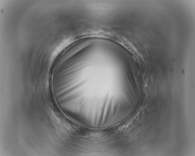 X0000088890344200706291445