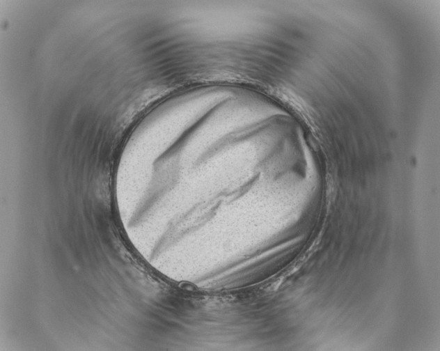 X0000088890345200706291445