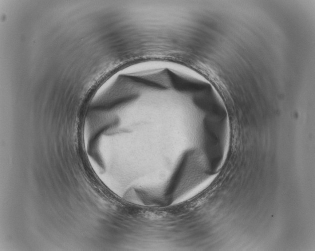 X0000088890346200706291445