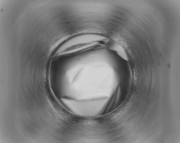 X0000088890348200706291445