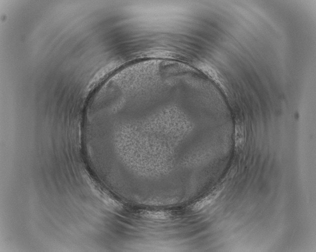 X0000088890349200706291445