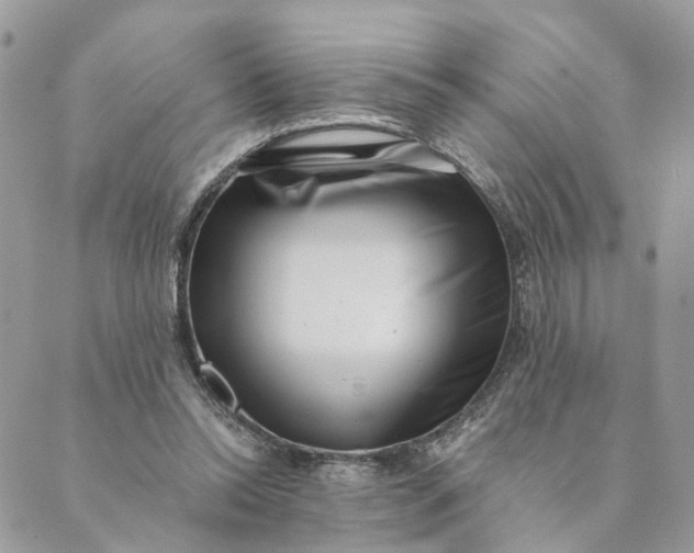 X0000088890350200706291445