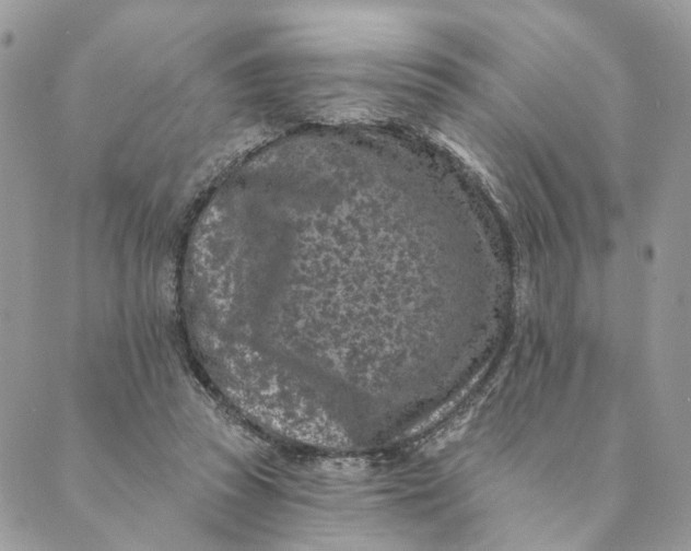 X0000088890353200706291445