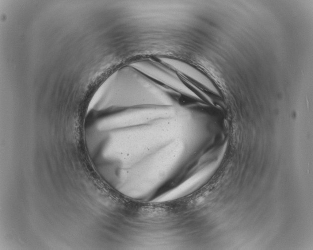 X0000088890354200706291445