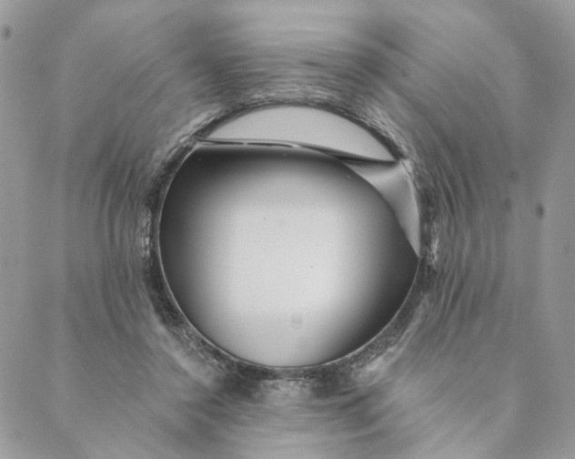 X0000088890356200706291445