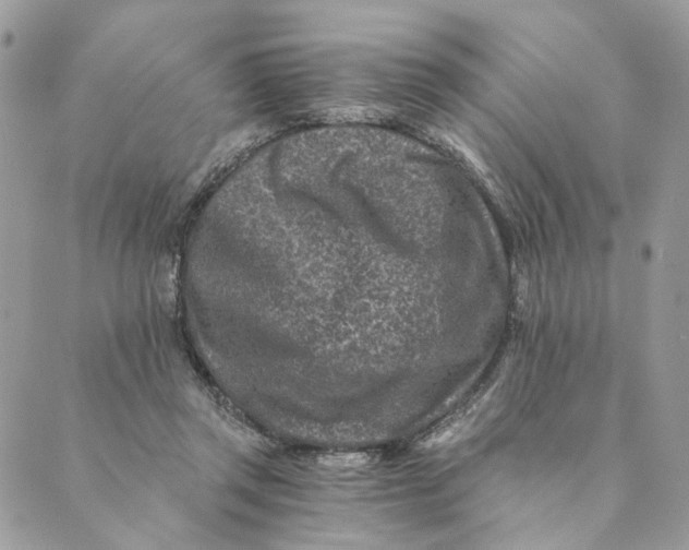 X0000088890357200706291445