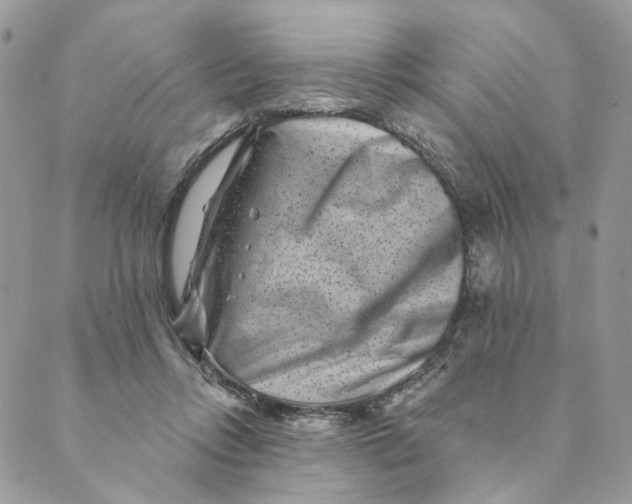 X0000088890358200706291445