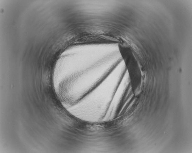 X0000088890359200706291445