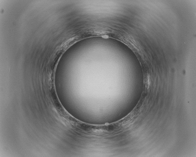 X0000088890360200706291445