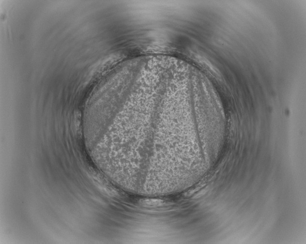 X0000088890361200706291445