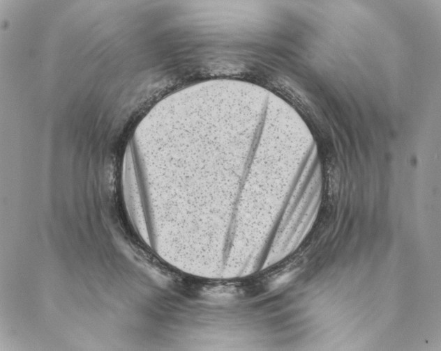 X0000088890362200706291445