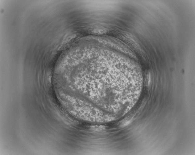 X0000088890363200706291445