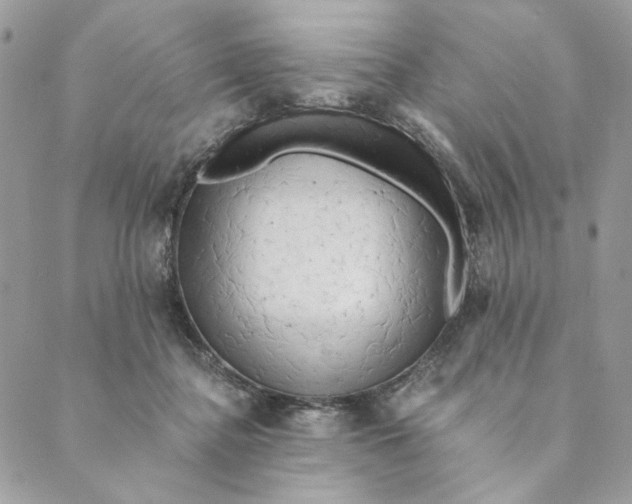 X0000088890364200706291445