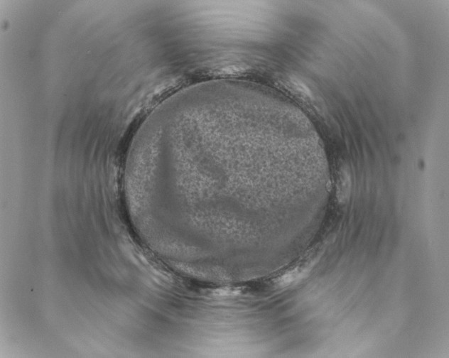 X0000088890366200706291445