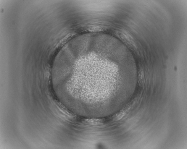 X0000088890367200706291445