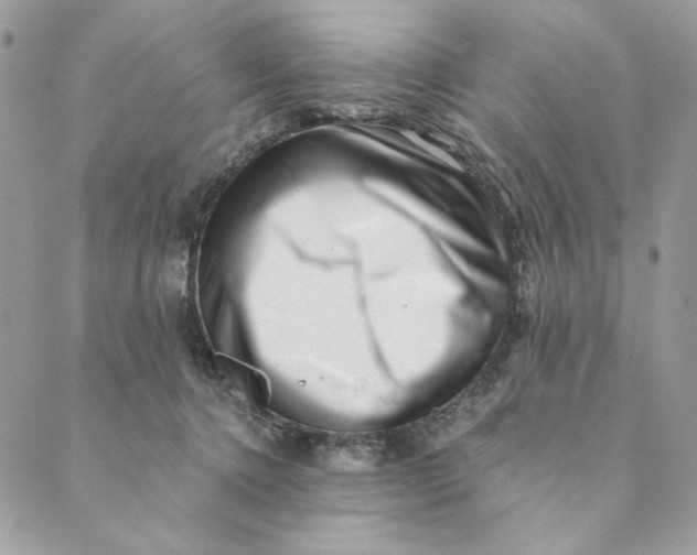 X0000088890368200706291445