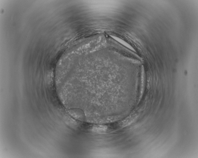 X0000088890369200706291446