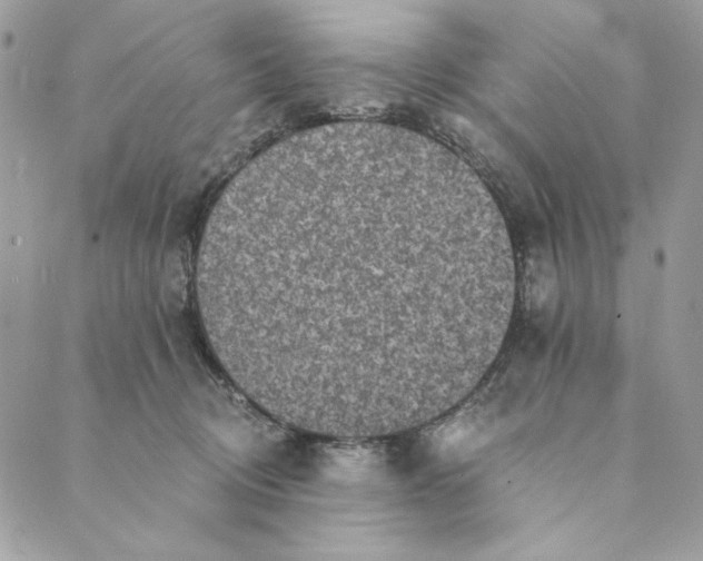 X0000088890370200706291446