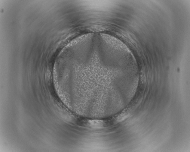 X0000088890371200706291446