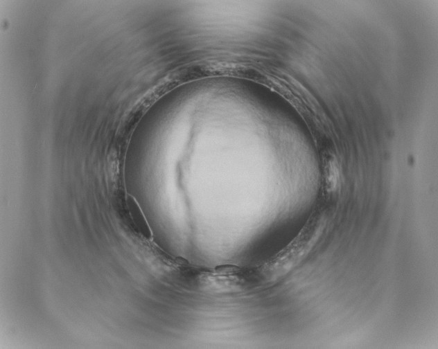 X0000088890372200706291446