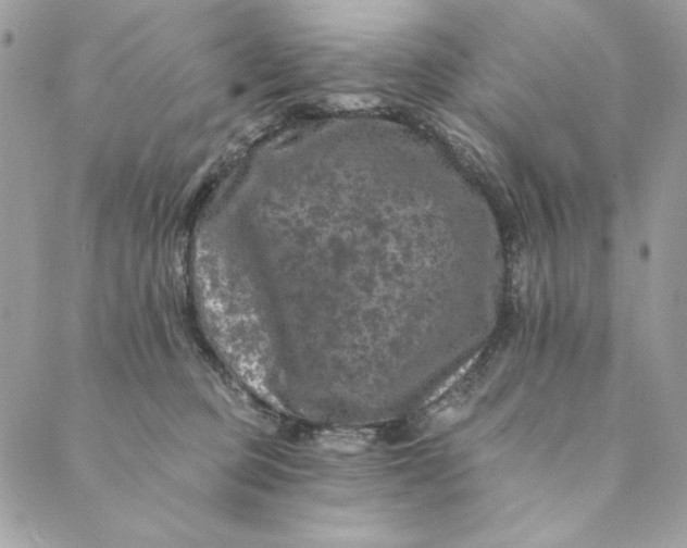 X0000088890373200706291446