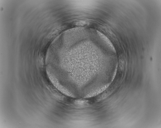 X0000088890375200706291446