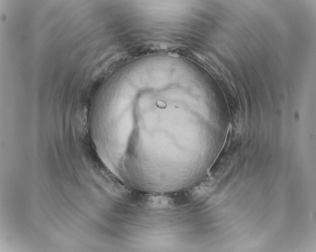 X0000088890376200706291446