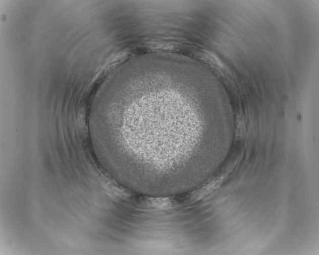 X0000088890377200706291446