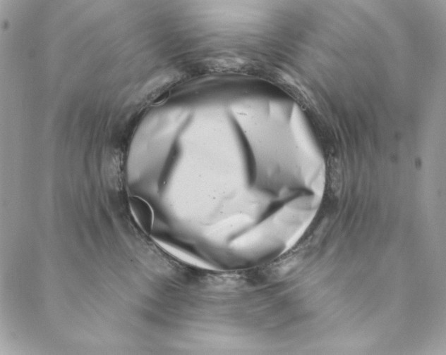 X0000088890378200706291446