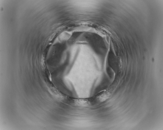 X0000088890380200706291446