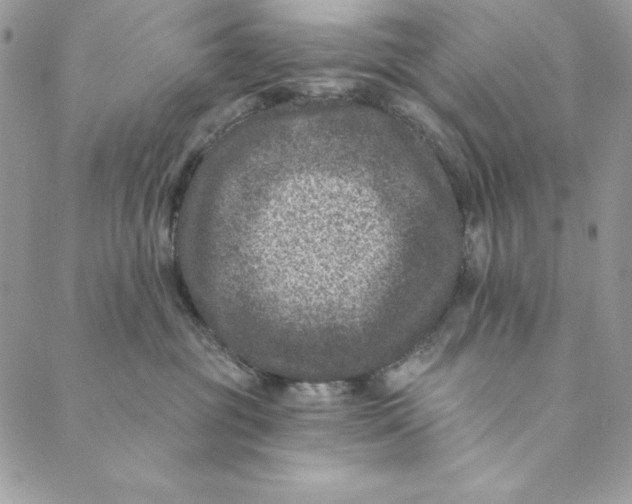 X0000088890381200706291446