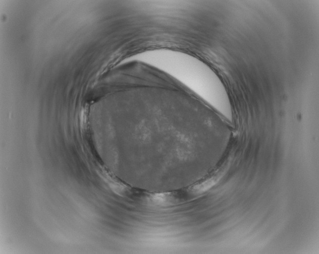 X0000088890382200706291446