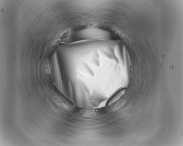 X0000088890384200706291446