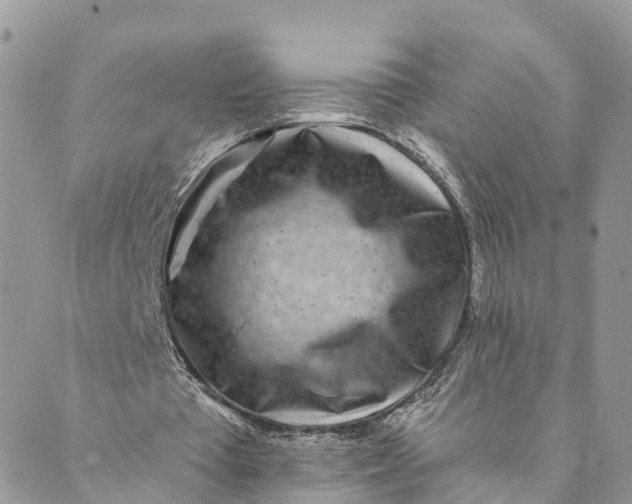 X0000088890385200706291445