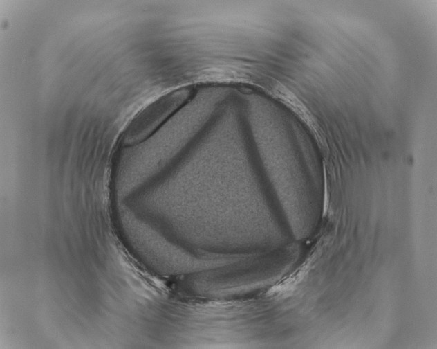 X0000088890387200706291445