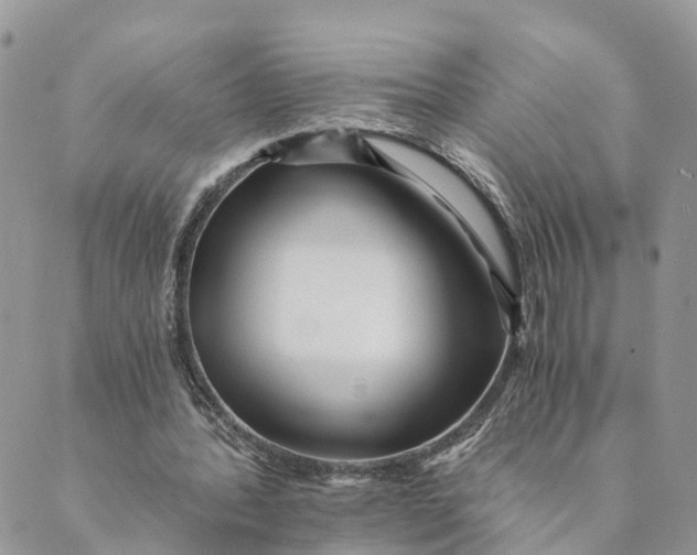 X0000088890388200706291445