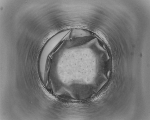 X0000088890389200706291445