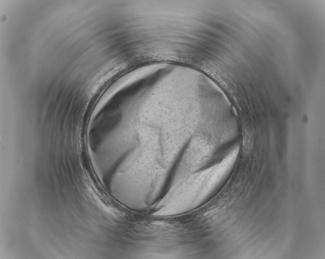 X0000088890390200706291445