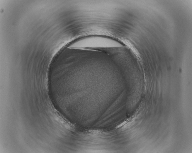 X0000088890391200706291445