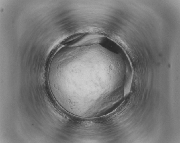 X0000088890392200706291445