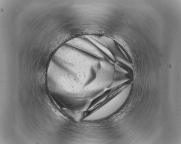 X0000088890393200706291445