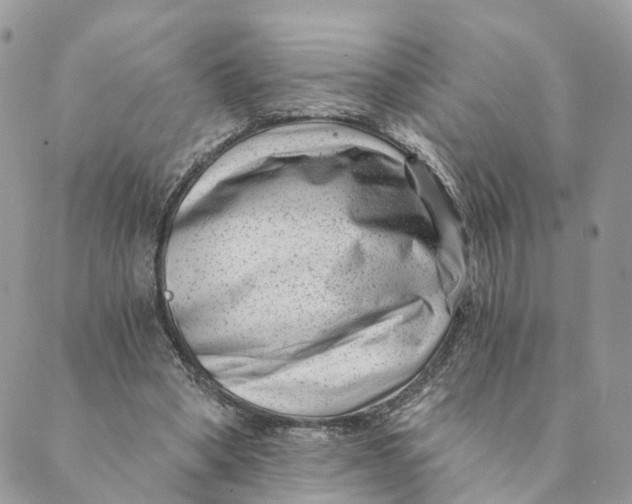 X0000088890394200706291445