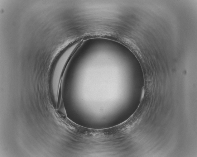 X0000088890395200706291445