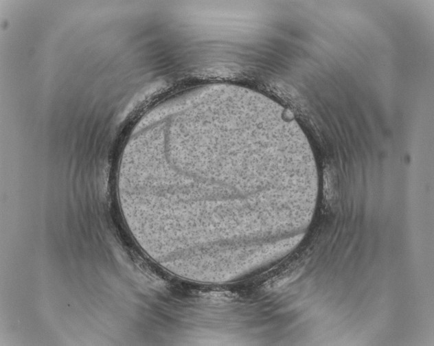 X0000088890396200706291445