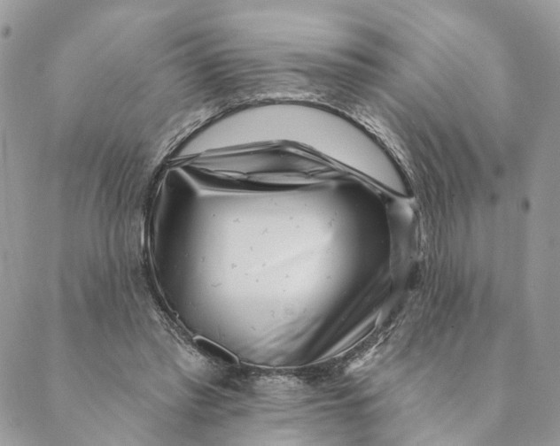 X0000088890397200706291445